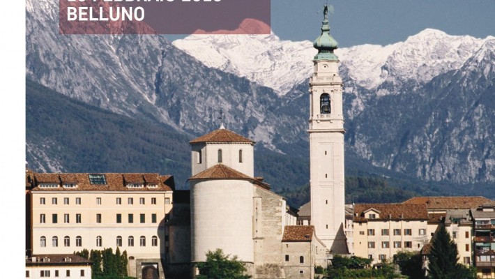Training Formativo in Ecografia Toracica  – Belluno  16 Febbraio  2018