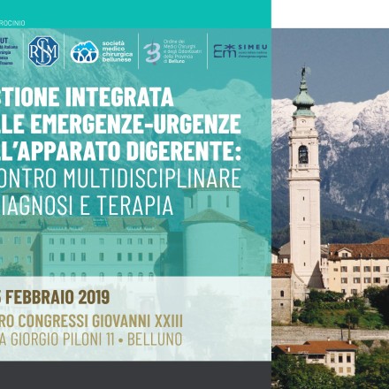 Gestione Integrata delle Emergenze -Urgenze dell’Apparato Digerente: Incontro Multidisciplinare di Diagnosi e Terapia – Belluno  14/15 Febbraio 2019