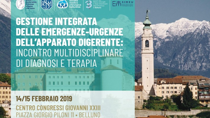 Gestione Integrata delle Emergenze -Urgenze dell’Apparato Digerente: Incontro Multidisciplinare di Diagnosi e Terapia – Belluno  14/15 Febbraio 2019